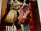 TRIGO LIMPIO (España, 1962) Drama, Bélico, Religioso