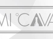 Cómo deberías conservar vinos: algunos factores tener cuenta