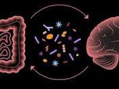 Terapia transferencia microbiota mejora Autismo