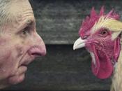 Entender gallina