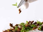 Nuevas plantas “superpoderes”