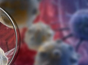 Data permite implementar tratamientos personalizados para pacientes cáncer