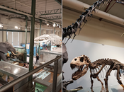 Visita Museo Nacional Ciencias Naturales Madrid