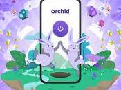 ¿Que Orchid(OXT)?.Protege privacidad