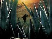 Tequila (2011)