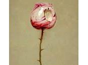 Michael Hussar