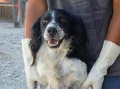 Kin. Pasa pasa tiempo... nadie quiere adoptarlo?