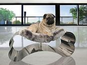 Sofás para perros