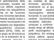 Perfil Neurocognitivo Esquizofrenia Galaverna