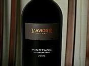 L'avenir, Pinotage 2006