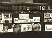 Bibliotecas acaban