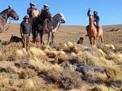 Traslado caballo materiales hacia cerro para instalar torre Mencué