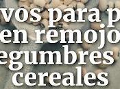 Motivos para Poner Remojo Legumbres Cereales