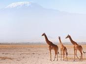 lugares hermosos para visitar Tanzania