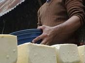 #Gastronomía #Venezuela convirtió segundo productor #queso América Latina