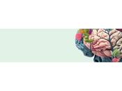 Salud ósea salud cerebro: estudio sugiere relación entre densidad demencia