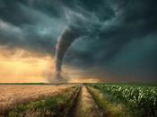 Empresas: plan recuperación desastres tecnológicos naturales para garantizar continuidad negocio