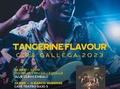Tangerine Flavour anuncian mini gira Galicia