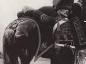 Husar (1983)