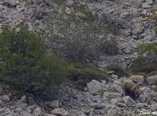 ¿Cómo contar hijo?