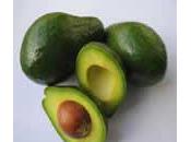 Aguacate