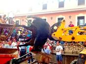 Res... Tauro