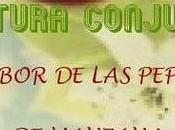 Novedades: Lectura conjunta sabor pepitas manzana'