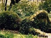 jardines perdidos Heligan