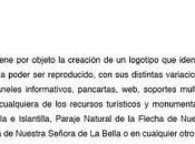 Ayuntamiento Lepe curiosos concursos diseño