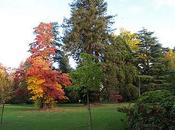 Jardín Massey Tarbes