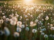 Dondequiera voy, encuentro