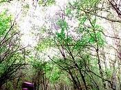 Equo: medio ambiente