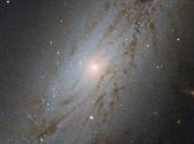 galaxia rápida Universo observable… ¡1564 km/s!