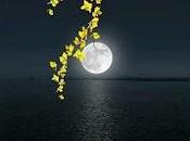 5.471 quiero besos...