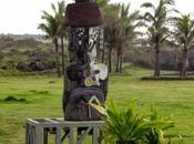 moai cemento. Rapa