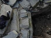 Miércoles intrigante