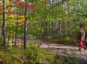 mejores cosas hacer Sherbrooke (Quebec, Canadá)