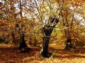 Otoño andaluz