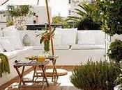 Plantas para balcones bajo mantenimiento