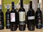 FINCA ONEGAR VERTICAL CAUS LUBIS, cata inolvidable