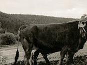 Fotografias varias Cantabria