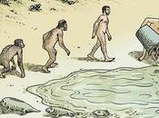 ¿Evolución?