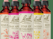 Flores Bach® Originales ayudan gestionar emociones