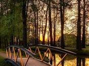 5.505 dulce canto...