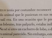 ciego