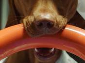 Miércoles cocinando