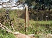 Macabro: hallaron huesos ropa baldío hombre habría sido asesinado balazos