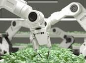 Cómo inteligencia artificial está transformando industria agricultura alimentación