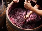 vino piqueta ¿qué algún país está prohibido?