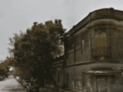 Hallan cadáver cinco gatos comieron piernas brazo: murió víctima?